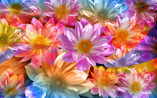 447907 (a): :1920x1200